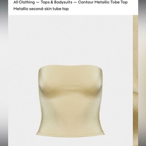 Aritzia Contour Metallic Tube Top